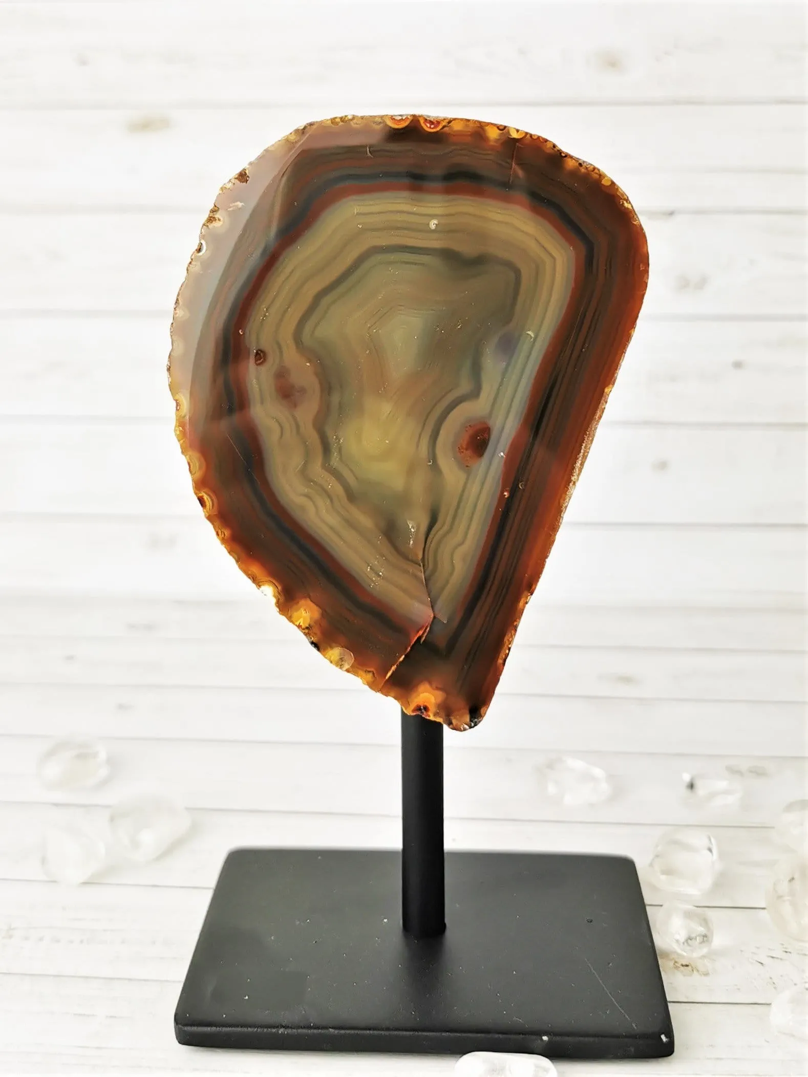 Agates on Display Stands