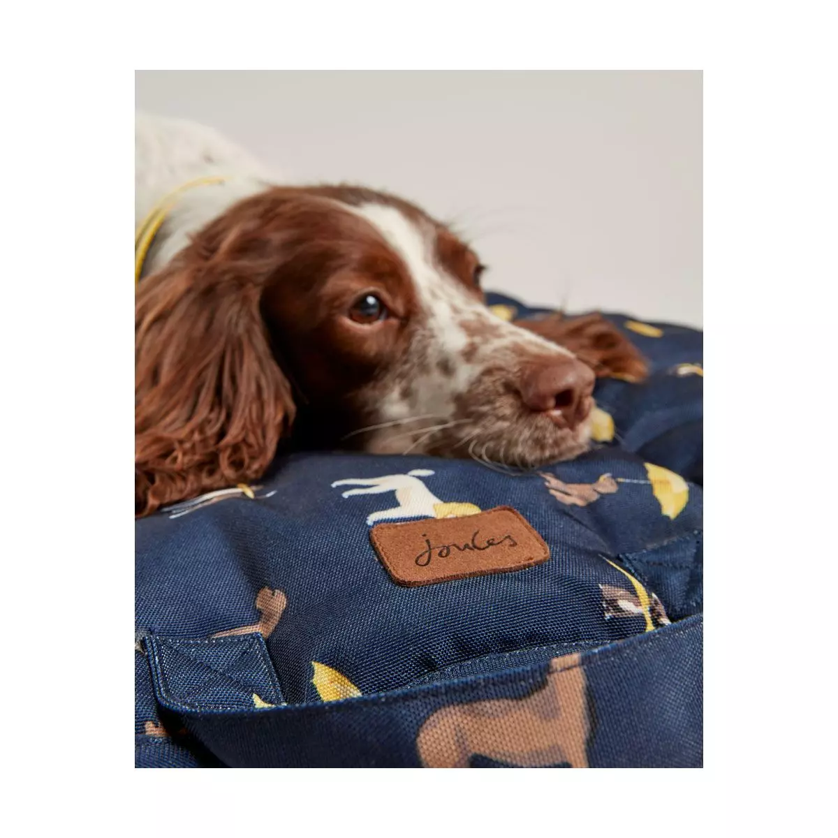 Joules Dog Print Travel Mat